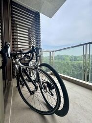 Seaside Residences (D15), Apartment #599546901